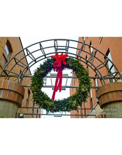 Season's Greeting