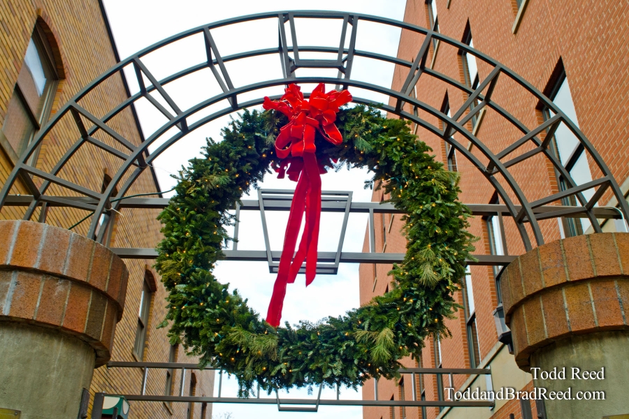 Season's Greeting