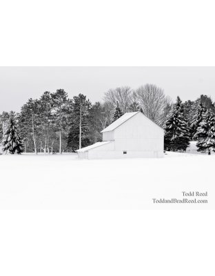 Whitewashed World