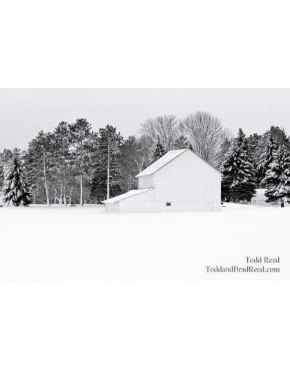 Whitewashed World