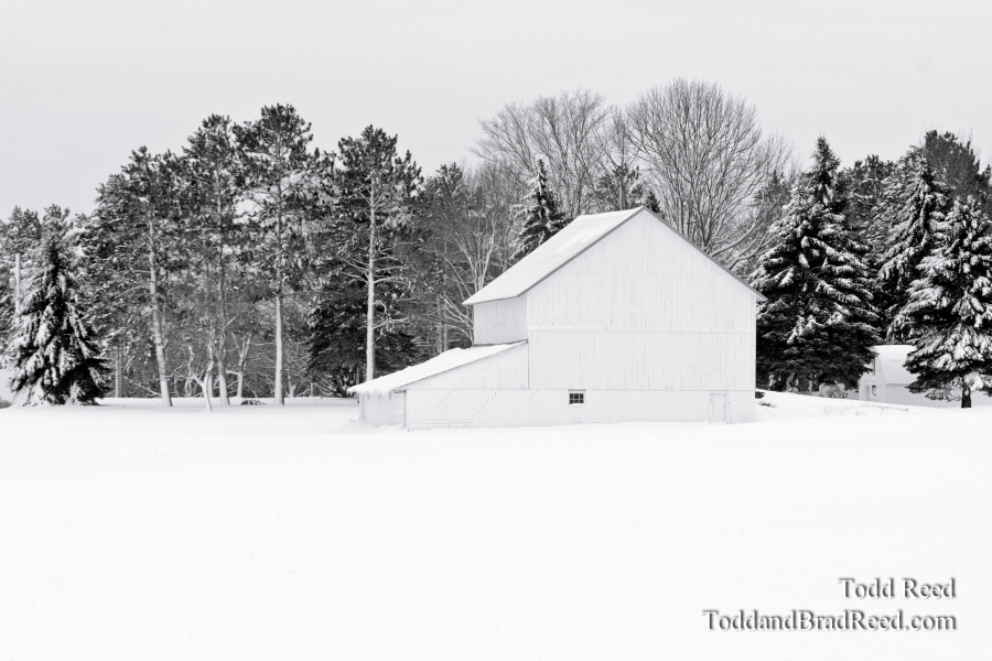Whitewashed World