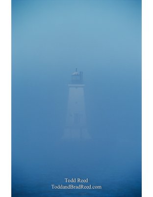 Blue Fog Light