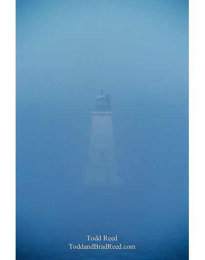 Blue Fog Light