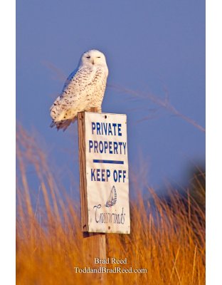 Keep Off