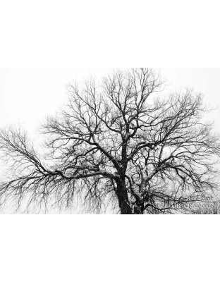 365 Week (0214)