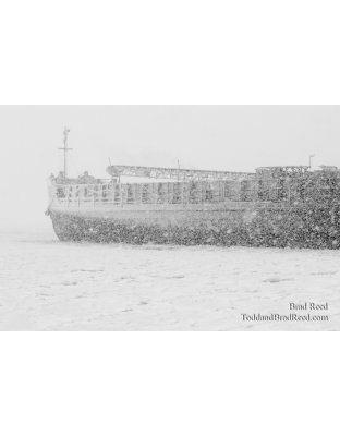 PM 41 Barge (0255)