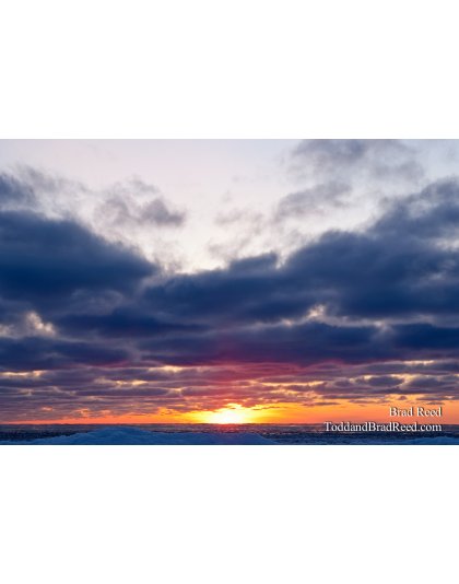 365 Week 05 (0698)
