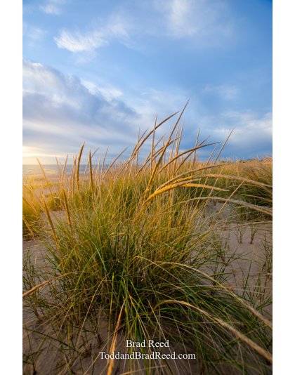 Ludington State Park Workshop (1053)