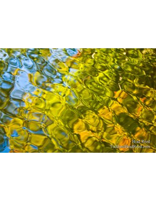 Water Colors