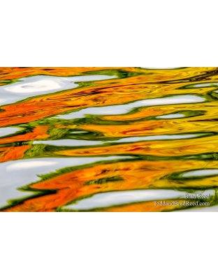 Ordway Reflections