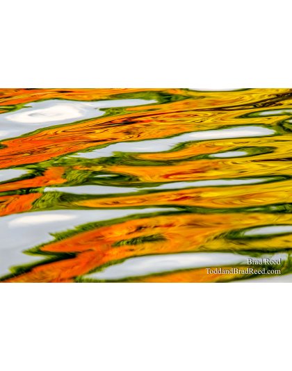 Ordway Reflections
