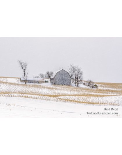 Barn Between Traverse City and Sleeping Bear (2260)