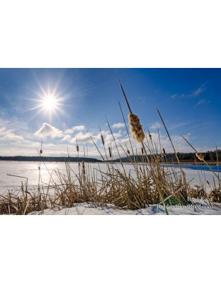 Wednesday Oceana County (2781)