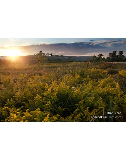 Sleeping Bear Dunes (3506)