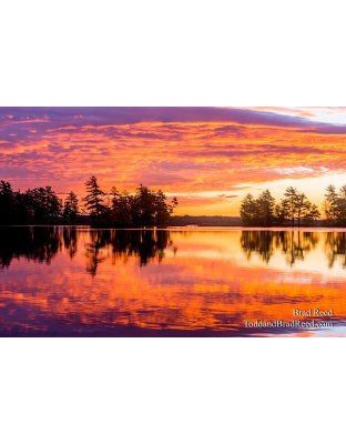 Workshop at Ludington State Park (3849)