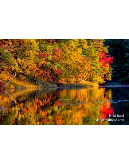 Workshop at Ludington State Park (3852)