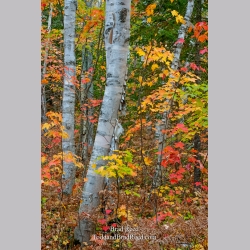 Taken at Gerlach Workshop in Munising (4067)