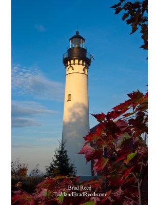 Crimson Light