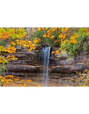 Gerlach Workshop in Munising (4231)