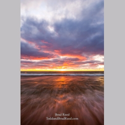 Workshop at Ludington State Park (4429)