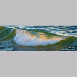October 25 2014 Pano (4923)