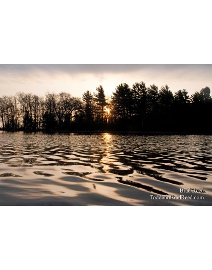 Ludington State Park May Workshop (6314)