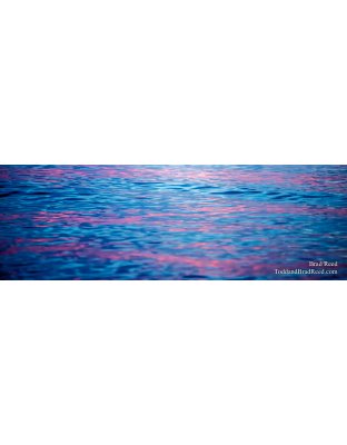 Cotton Candy - Panoramic