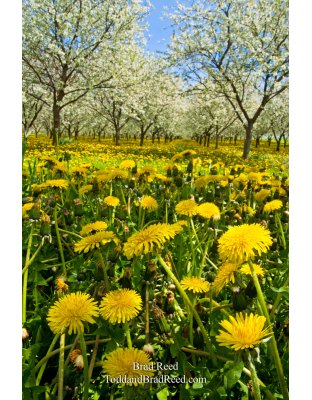 May (8042)