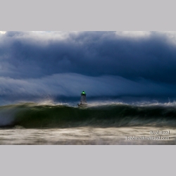 Amidst the Fury