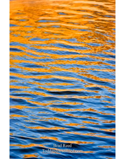 Sweet Water - Vertical