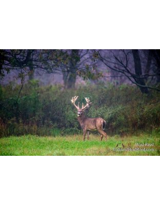 Legends Deer Ranch (8329)