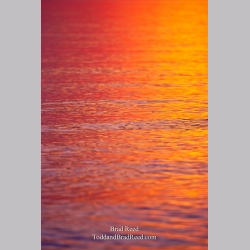 Rippling