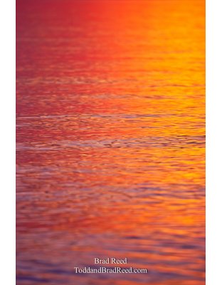 Rippling