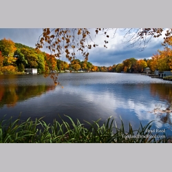 the South Bayou of Hamlin Lake (9799)