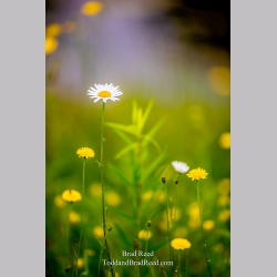 A Delicate Moment
