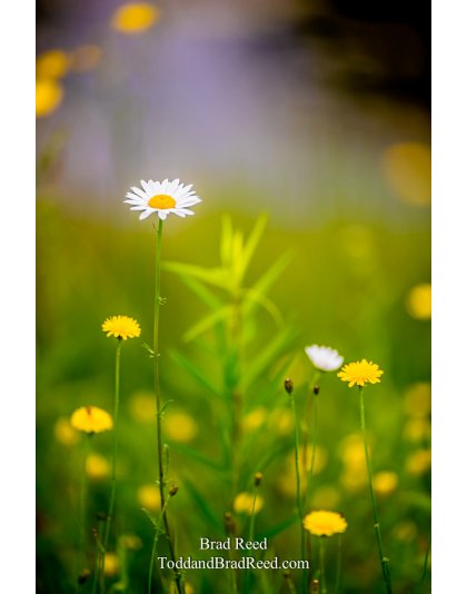 A Delicate Moment