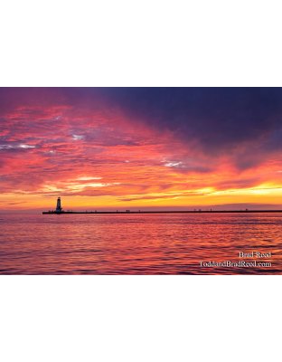 A Michigan Moment