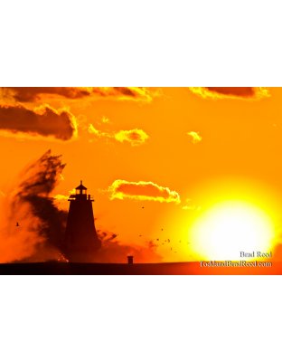 Blazing Light