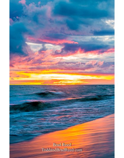 Electric Shoreline