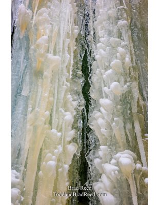 Frozen Hearts