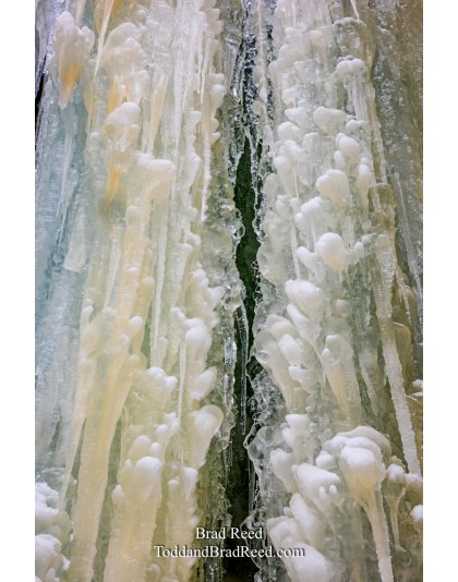 Frozen Hearts