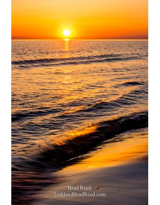 Lake Michigan Muse