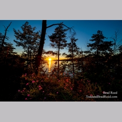 Maribeths Walloon Lake