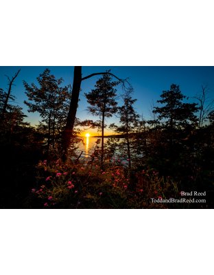 Maribeths Walloon Lake