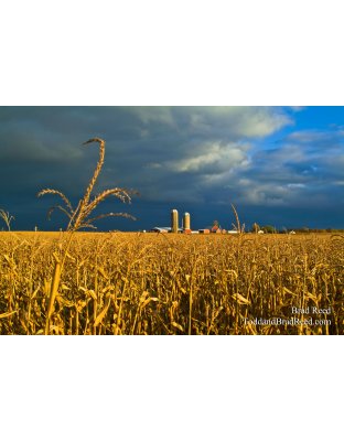 Monton Farm
