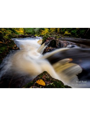 Overlooked Falls