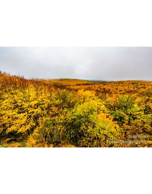 Porcupine Summit