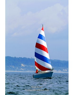 Red White and Blue Sailboat (7121)