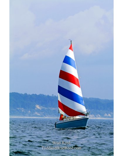 Red White and Blue Sailboat (7121)