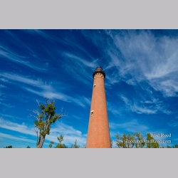 Sable Skies